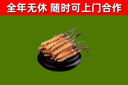 马尔康市烟酒回收冬虫夏草.jpg
