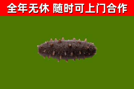 马尔康市烟酒回收干海参.jpg